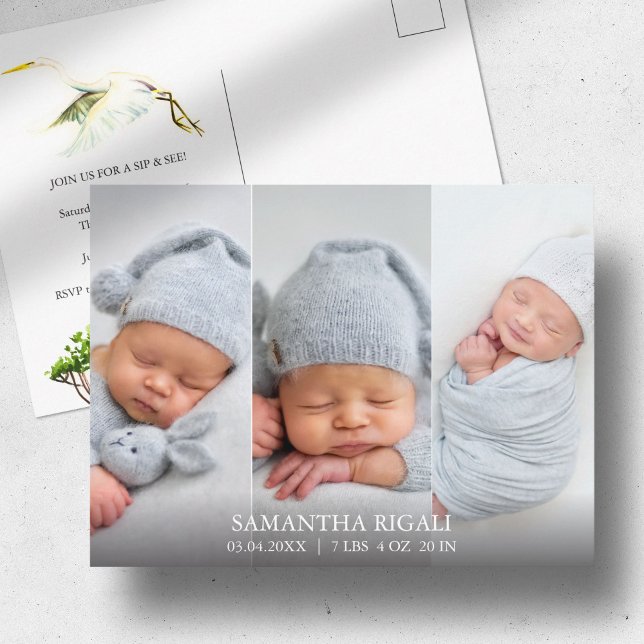 Vit häger 3 Foto Födelseannonsering Vykort (Birth announcements cards 3 photo and watercolor white heron and mangroves Victoria Grigaliunas)