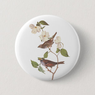 Vit-haltig Sparrow Audubon Bird i Dogwood Knapp