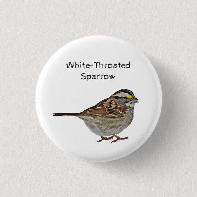 Vit-haltig Sparrow Knapp (Framsida)