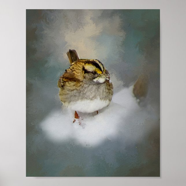 Vit haltig Sparrow Poster (Framsidan)