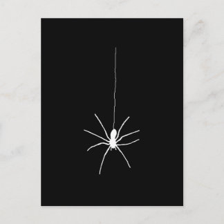 Vit hangingspider vykort