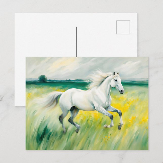 Vit häst springer över äng vykort (Fram/baksida)