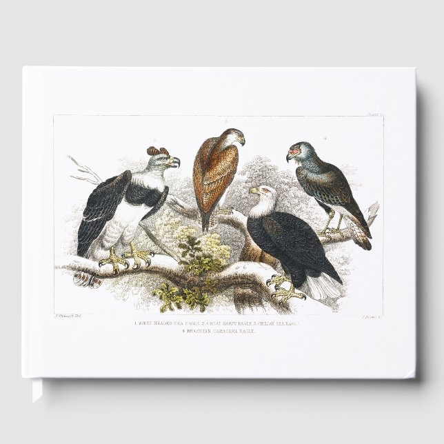 Vit havseagle, Underbar Harpy Eagle, Chilian Gästböcker (Framsida)