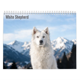 Vit Herde 2027 Kalender
