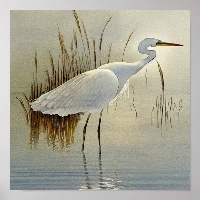 Vit Heron Watercolor-målning Poster (Framsidan)