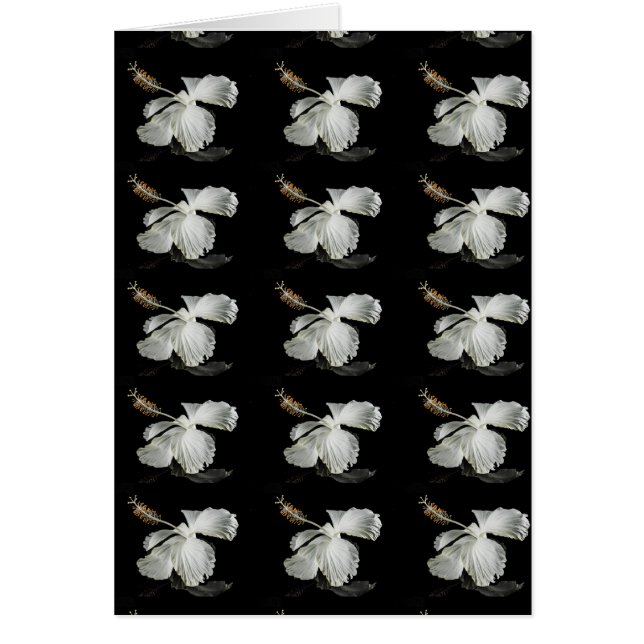 Vit Hibiscus Flower Side View Hälsningskort (Framsidan)