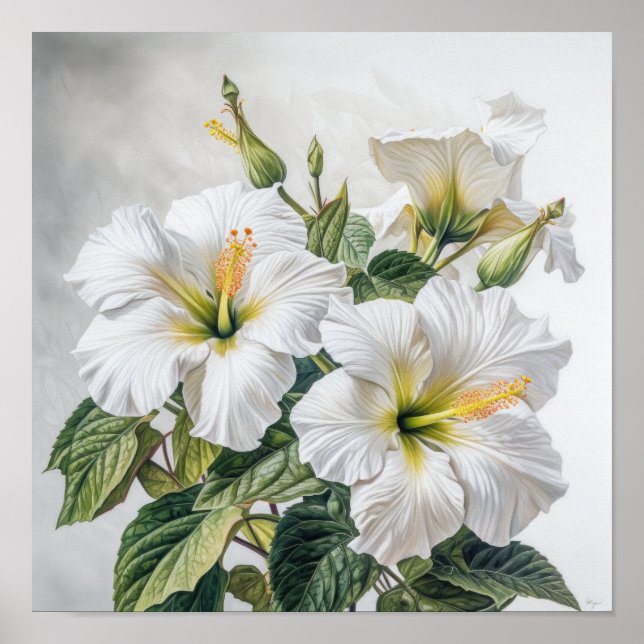 Vit Hibiskus Blomma Konsttryck Poster (Framsidan)