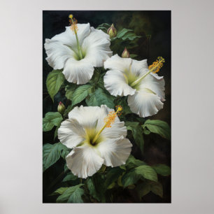 Vit Hibiskus Blomma Konsttryck Poster