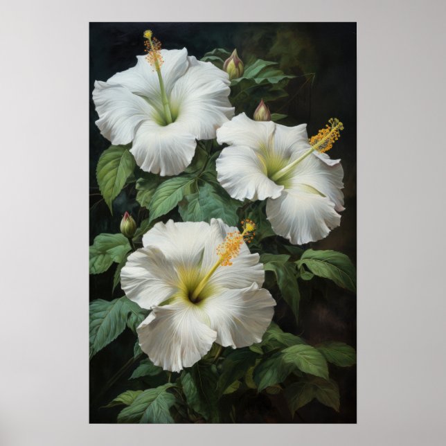 Vit Hibiskus Blomma Konsttryck Poster (Framsidan)