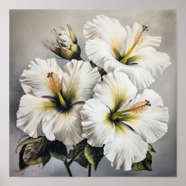 Vit Hibiskusblomma Konsttryck Poster (Framsidan)