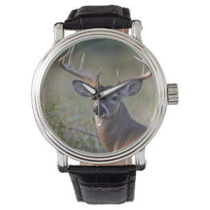vit hjort Odocoileus virginianus Armbandsur
