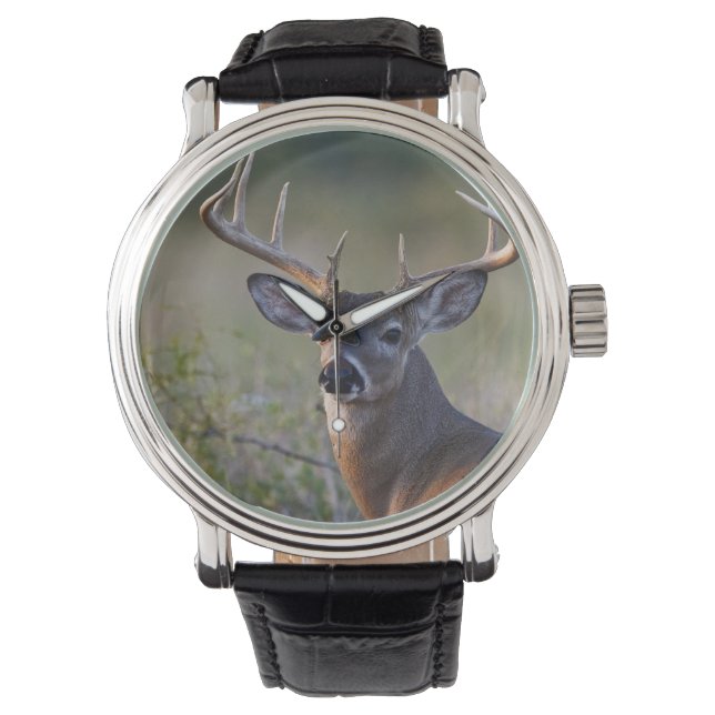 vit hjort Odocoileus virginianus Armbandsur (Framsida)