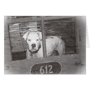 Vit Hund bakom dörr, svartvitt Hälsningskort