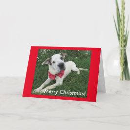Vit Hund Helgkort
