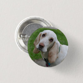 Vit hund Hund, huvud lutad åt sidan Knapp