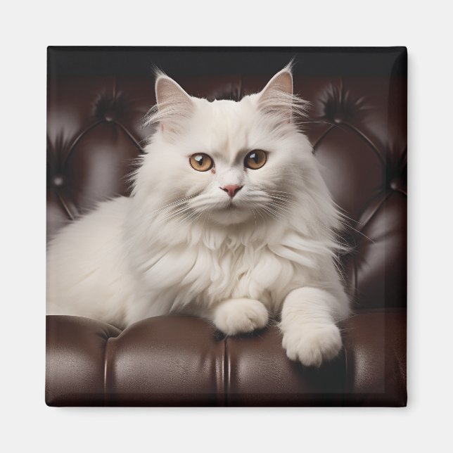 Vit huvudkatt magnet (Framsidan)