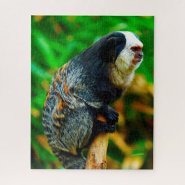 Vit huvudmarmosett. pussel