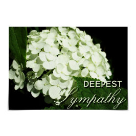 Vit hydraneringskort " Deepest Sympathy " Kort