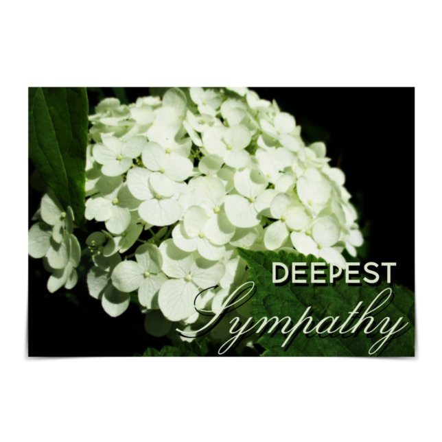 Vit hydraneringskort " Deepest Sympathy " Kort (Skapare uppladdad)