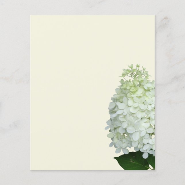 Vit Hydrangea Blank Ecru Papper Flygblad (Framsidan)