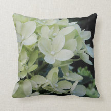 Vit Hydrangea |