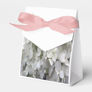 Vit Hydrangea Presentaskar