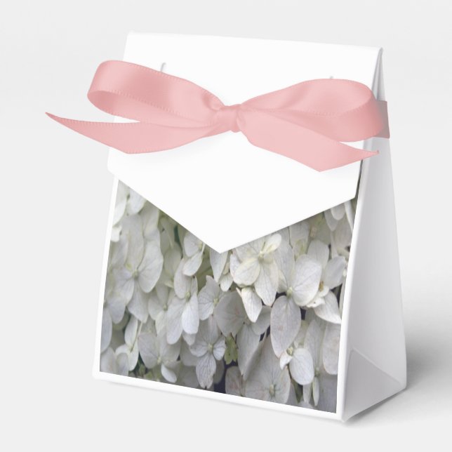 Vit Hydrangea Presentaskar (Framsidan Sidan)