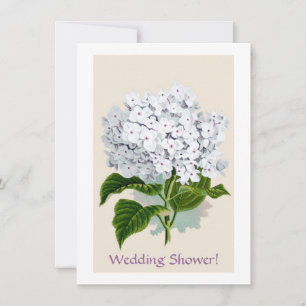 Vit Hydrangea Vintage Botanicals Illustrationer Inbjudningar