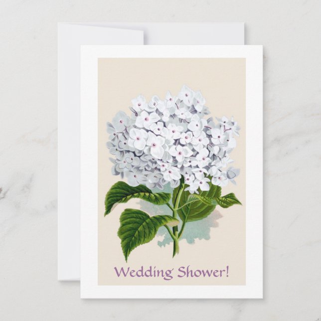 Vit Hydrangea Vintage Botanicals Illustrationer Inbjudningar (Framsida)