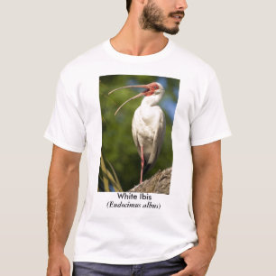 Vit Ibis, (Eudocimus… T Shirt