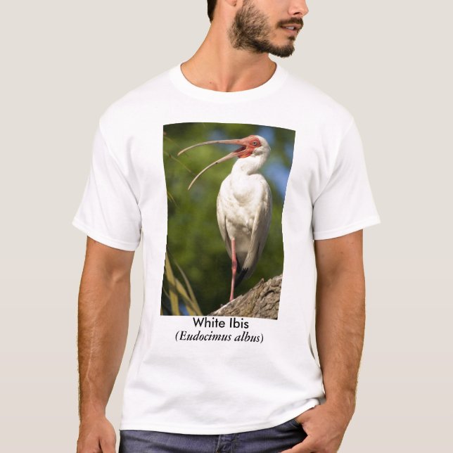 Vit Ibis, (Eudocimus… T Shirt (Framsida)