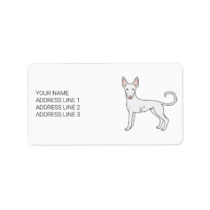 Vit Ibizan Hound Slät Päls Tecknad Hund & Text Adressetikett