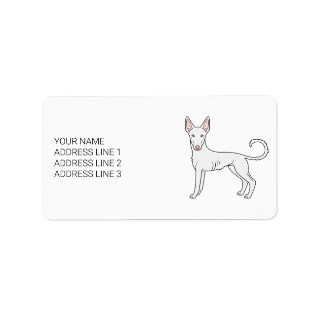 Vit Ibizan Hound Slät Päls Tecknad Hund & Text Adressetikett (Framsidan)