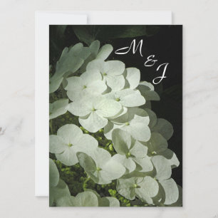 Vit inbjudan till Hydrangea Wedding