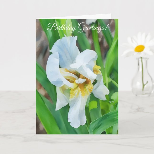 Vit Iris Flower Art Garden Birthday Card Kort (Liten växt)