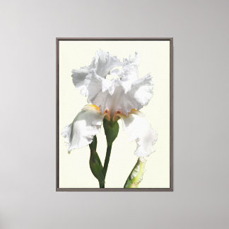 Vit irisblomma canvas fotokonst