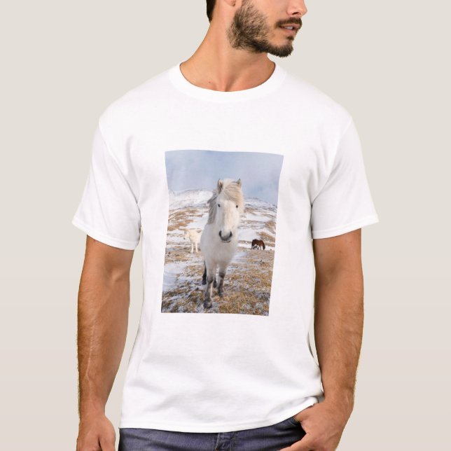 Vit isländsk häst, Island T-shirt (Framsida)
