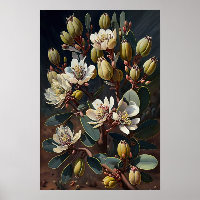 Vit Jojoba Blomma Konsttryck Poster  (Framsidan)