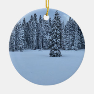 Vit jul från Tahoe! Julgransprydnad Keramik