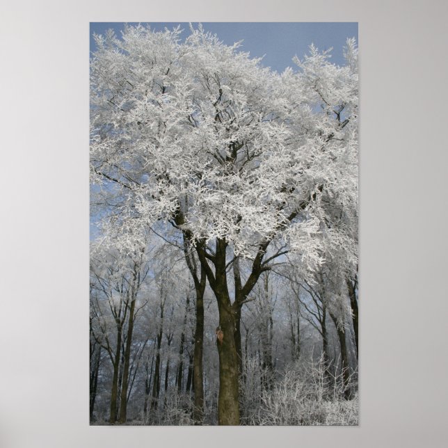 Vit jul poster (Framsidan)