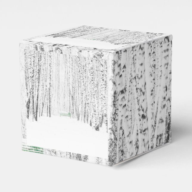 Vit julklapp presentaskar (Framsidan Sidan)