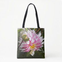 Vit kålslagsfjäril på rosa Dahlia-blomma