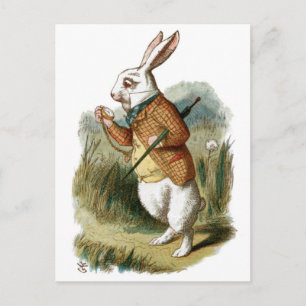 Vit kanin från Alice i Wonderland Vykort