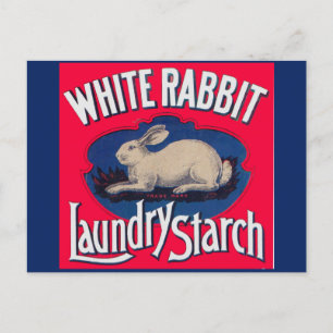 Vit kanin Tvätt Starch låda etikett Vykort