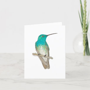 Vit kapad Emerald Hummingbird Tack Kort