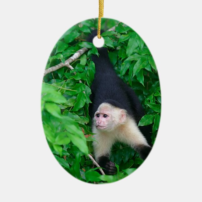 Vit kapuchingapa julgransprydnad keramik (Framsidan)