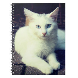 Vit katt anteckningsbok