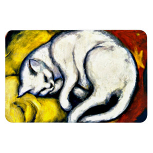 Vit katt, bra konsmålning magnet