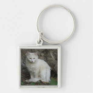 Vit Katt Fyrkantig Silverfärgad Nyckelring