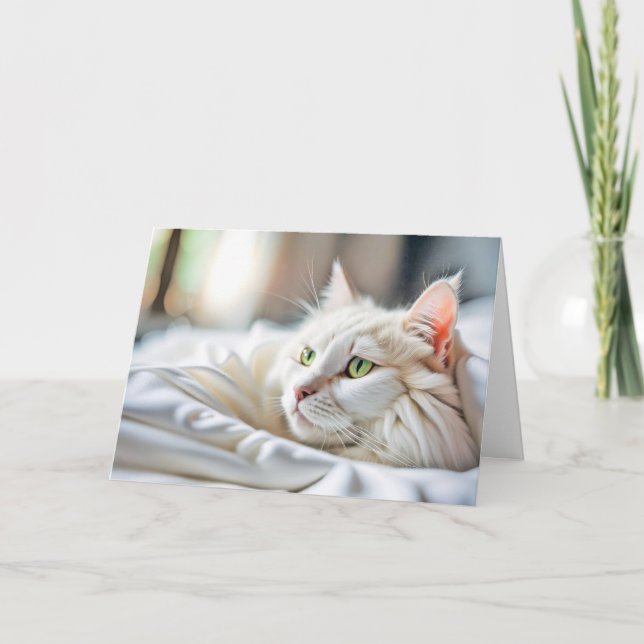 Vit Katt i blodet. Kort (Framsida)